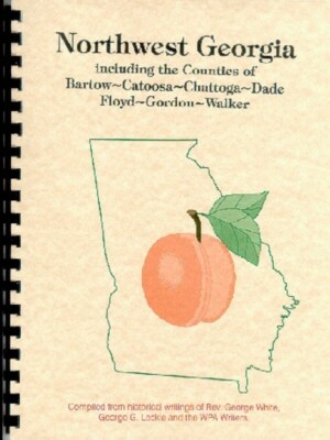 N/W Georgia 7 County area White's 1854 History + WPA Guide Bartow Rome GA New RP