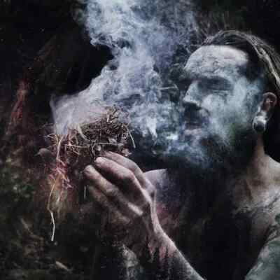 Old Growth - Mossweaver DIGIPAK (Anomalie, Harakiri for the sky, Karg)