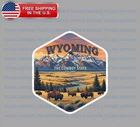 Wyoming State Bumper Vinyl Decal Sticker Souvenir Travel C