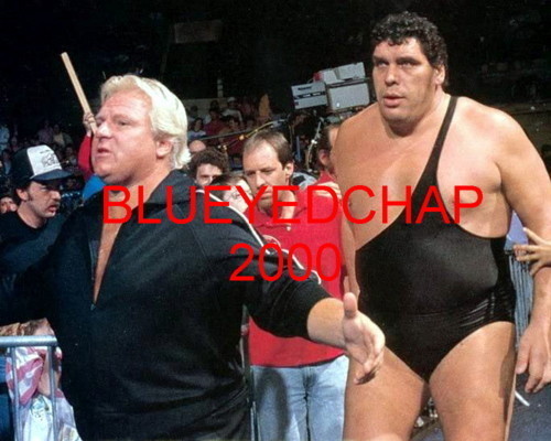 warrior ＆André the Giant＆Bobby Heenan ANDRE THE GIANT & BOBBY HEENAN WRESTLER 8 X 10 WRESTLING PHOTO NWA