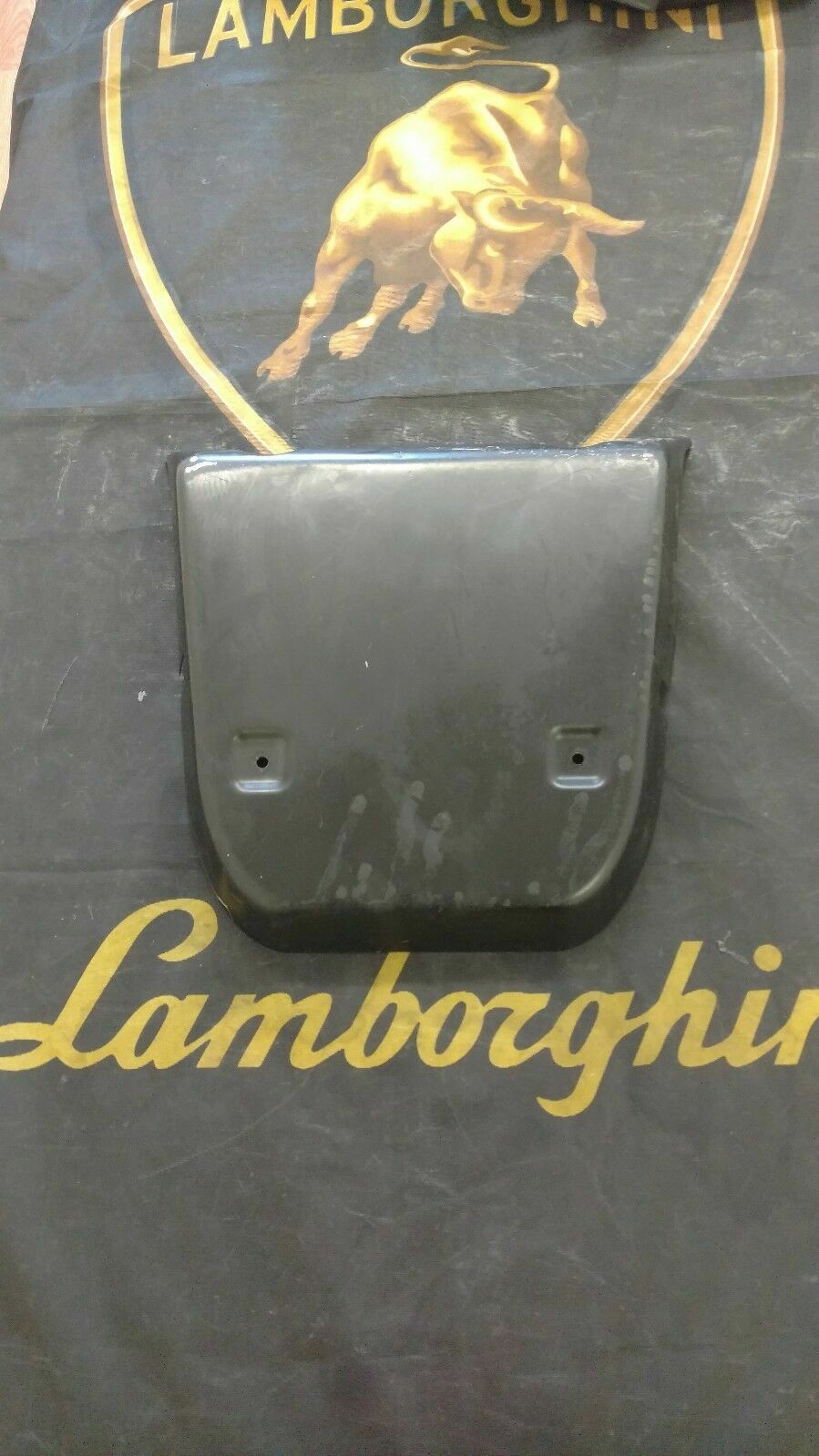 LAMBORGHINI GALLARDO LP550 560 TRUNK LID TRANSPARENT ENGINE BONNET OEM 408827027
