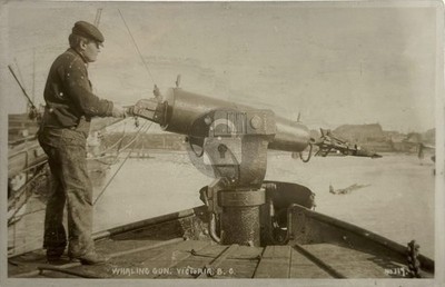 1900 Whaling Gun Blackfeet Indian Teepee & Cowboys Roundup RPPC Postcard COPY