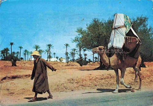 74005972 Djerba_Jerba_Tunesie Ile de Djerba La Johfa