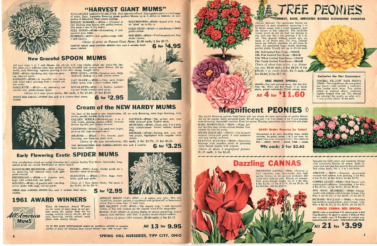 Springhill Flowers Catalog Best Flower Site