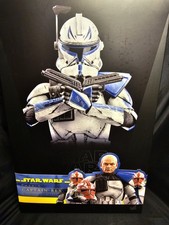 Hot Toys Star Wars: The Clone Wars - Captain Rex 11.81in. Action Figure (TMS018)
