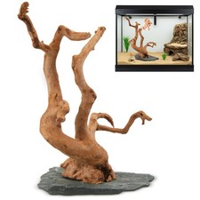 Large Driftwood for Aquarium, 8.5-11.5 Inch Spider Wood on Slate Stone, Natur...