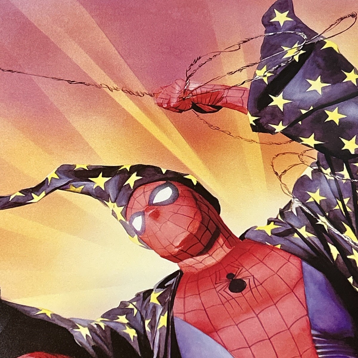 Spider-Man By Alex Ross Signed & Numbered Art Lithograph 417/750