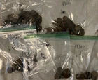 LINCOLN WHEAT CENTS, 560 COIN LOT, HIGHLIGHTS ARE 1909-P, 1912-S, 1919-S, MORE..