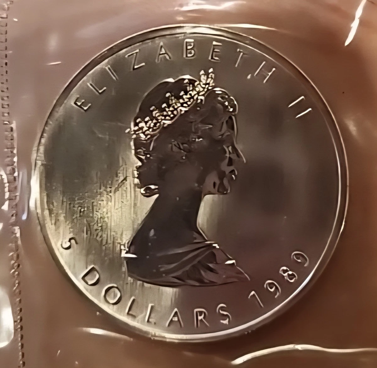 Canadian Maple Leaf 1989 Year Silver Bullion Coins for sale | eBay