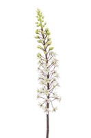 Artplants KüNstliche Steppenkerze Schenra, Weiß-GrüN, 95Cm