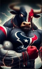 S000 HOUSTON TEXANS  Photo Reprint, Fridge Magnet, or Glossy Decal