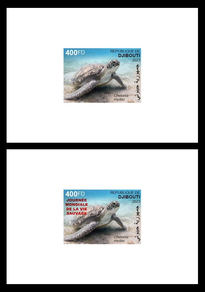 DJIBOUTI 2023 DELUXE PROOF (REG & OVPT) - TURTLES TORTUES TURTLE PANDEMIC - MNH - Photo 1/3