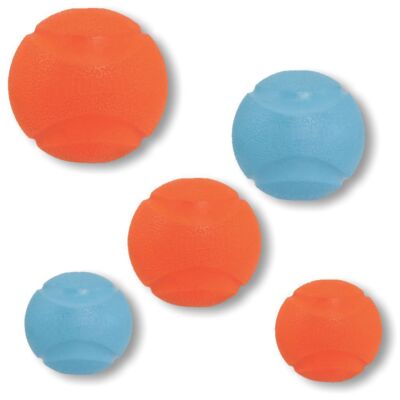 Chuckit! Fetch Ball - Apportierspielzeug Hundespielzeug sehr robust springt gut