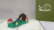 Beautiful 3D Pop Up Hedgehog In The Garden Greeting Card.