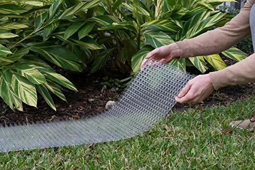 outdoor scat mat for dogs