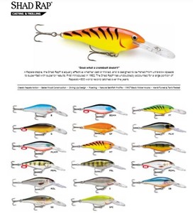 Esca Artificiale da Pesca Rapala Shad Rap 9 Esca Artificiale da Pesca Rapala Shad Rap 9