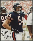 BRIAN URLACHER signed 8x10 photo (Bears - ROOKIE autograph) HOF - BAS certified