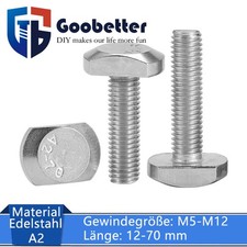 Tornillos de cabeza de martillo M5 M6 M8 M10 perno en T acero inoxidable V2A tornillo en T métrico A2