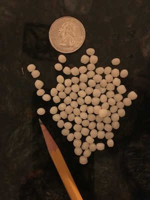 catgenie granules alternative