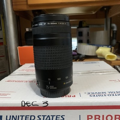 Canon EF 75-300mm f/4-5.6 II Zoom Lens