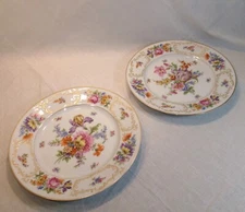 2 Vintage PT Tirschenreuth 10" inch Dinner Plates Dresden Floral Decoration 4326