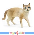 Bild 33 von 74
