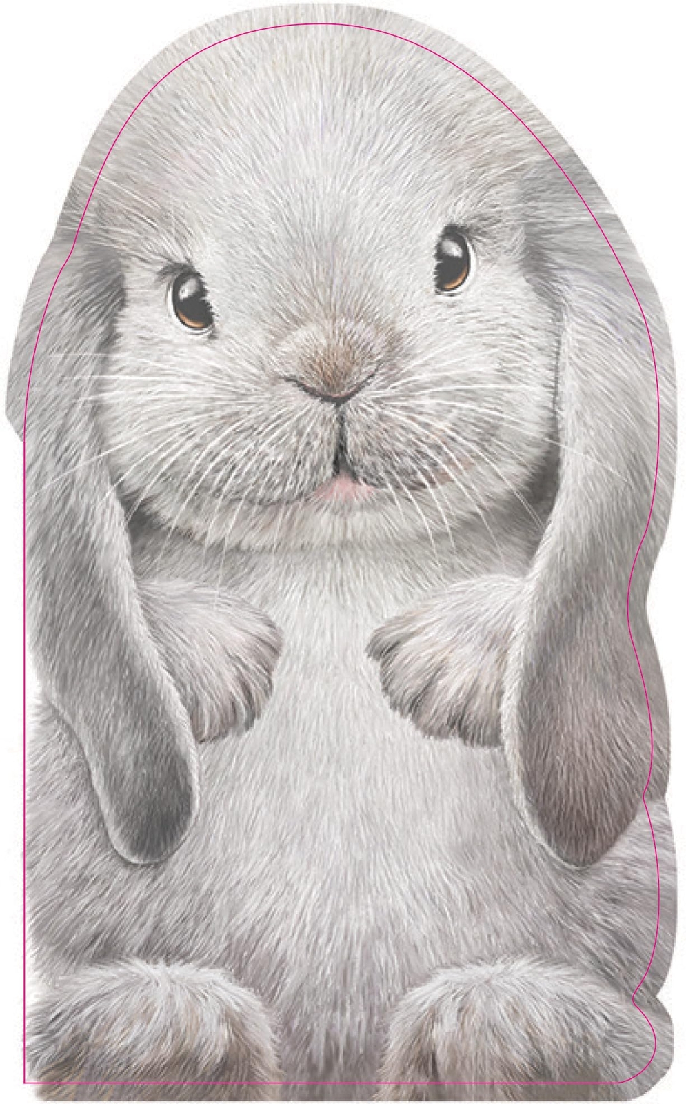 Foto 1 di 4