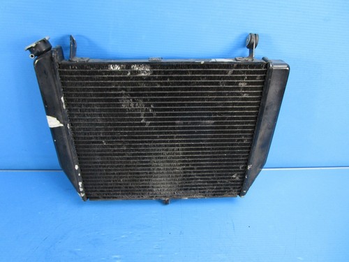 02 03 2002 2003 YAMAHA YZF R1 RADIATOR OEM | eBay