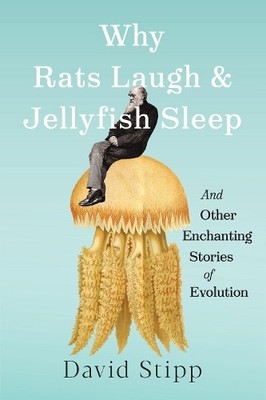 Why Rats Laugh and Jellyfish Sleep: and Other Enchan... by Stipp, David Hardback