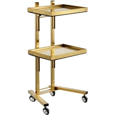 Multifunctional 2-Tray Utility Cart on Wheels - Gold 2-Level Medical Trolley ...