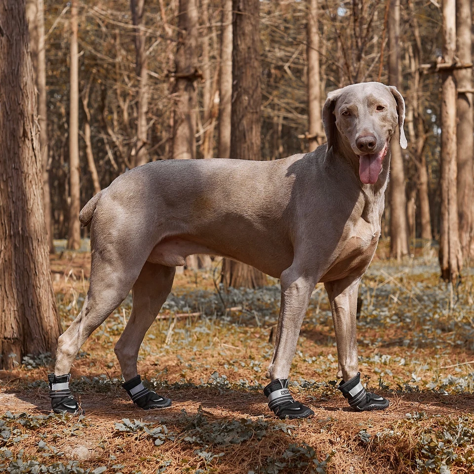Zapatos para perro pequeños medianos grandes botas protector de pata con reflectante antideslizante 4 un. Foto 4 de 4