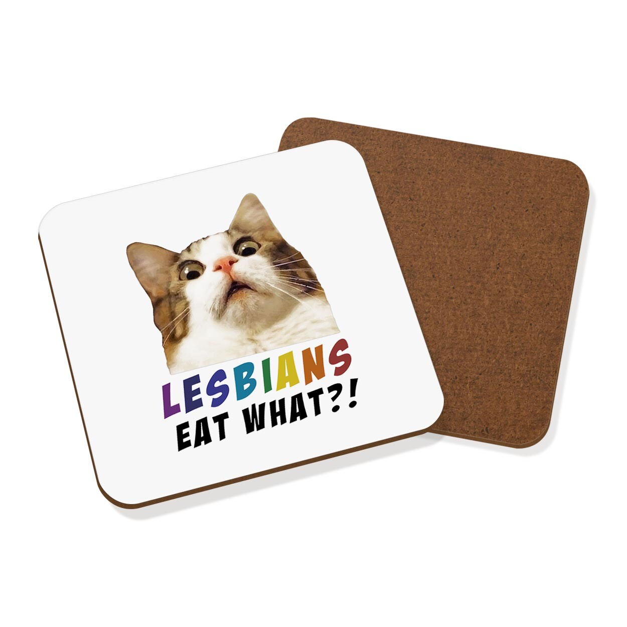 Lesbians Eat What Coaster Drinks Mat Gay Valentines Girlfriend Cat Joke Funny
