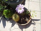 Foto 18 di 24