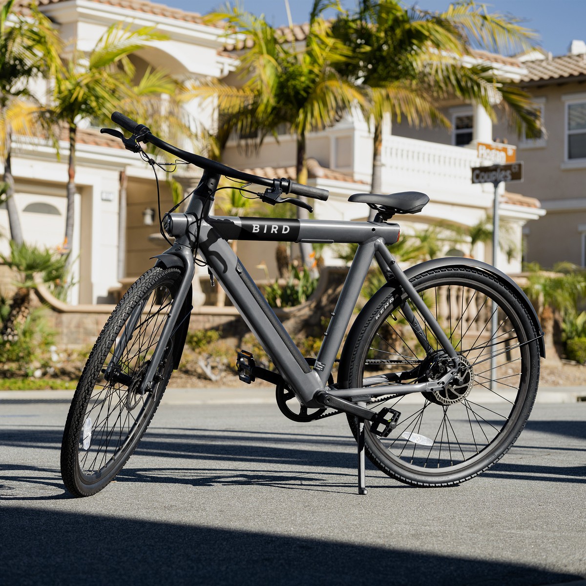 500Watt Bird Ebike Electric Bike Alloy Frame Commuter City E-bike