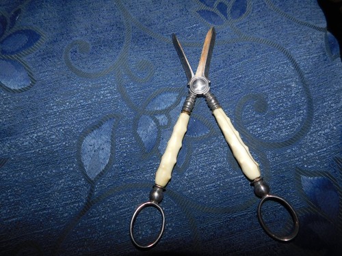 ANTIQUE GRAPE SCISSORS WITH ANTLER OR CELLULOID HANDLES - Picture 2 of 5