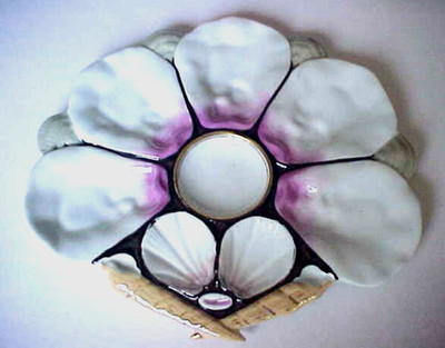 Rare Antique Oyster Plate ~ Wilhelm & Graef --Shells