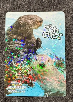 Toba Aquarium Toba-sui Collection Card May Royce