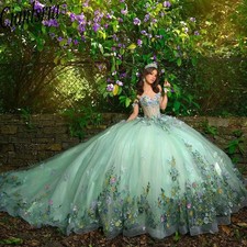 Illusion Appliques Ball Gown Quinceanera Dress 3D Flowers Princess Sweet 15 16