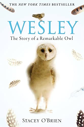 Wesley : The Story Of A Remarkable Owl Stacey O'brien - Image 2