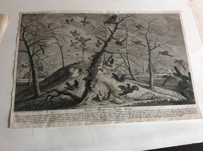 "Kraehen Aelstern und Raben Hütte",Kupferstich (2) Joh.Elias Ridinger 1750 RNT - Bild 1 von 2