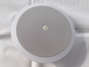 monitor ceiling speakers