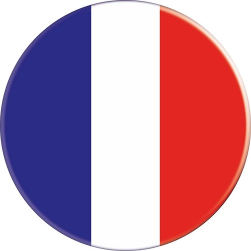 Pin's Broche Drapeau France 38mm - Français FR Multicolore Paris Pays