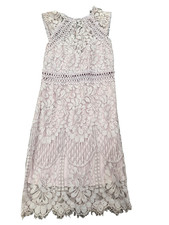 Fashion Nova Light Purple Lacey Dress