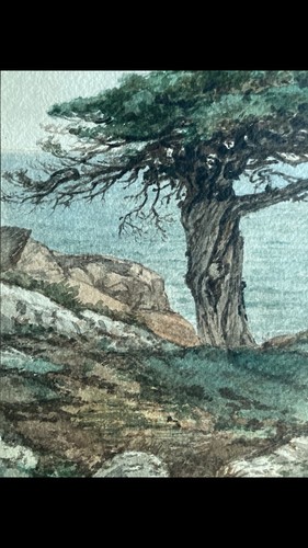 Monterey Zypresse um 1900 Monogramm Gemälde Mystery Künstler Schönheit - Bild 3 von 15