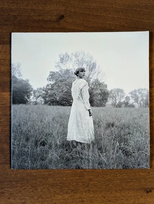 Taylor Swift The Lakes RSD Record Store Day 7" Vinile Originale Raro - Imagen 1 de 4