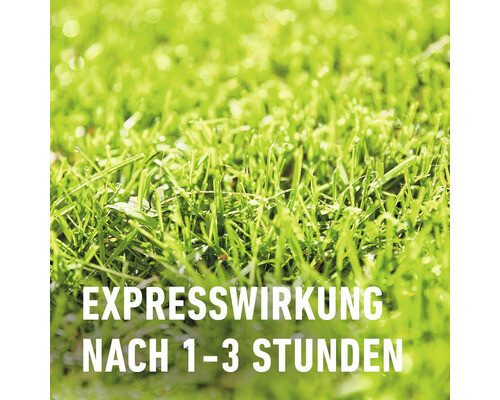 Rasendünger plus Unkrautvernichter Compo 12 kg / 400 m² 3459-905 - Bild 4 von 5