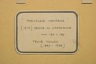 Foto 6 di 6