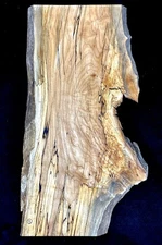 Live Edge Black Line Spalted Hard Maple Board 24”x13”x11/16”