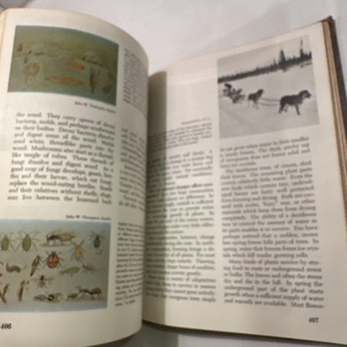 Understanding Science for the Space Age Revised Smith VTG 60’s HC - Picture 9 of 14
