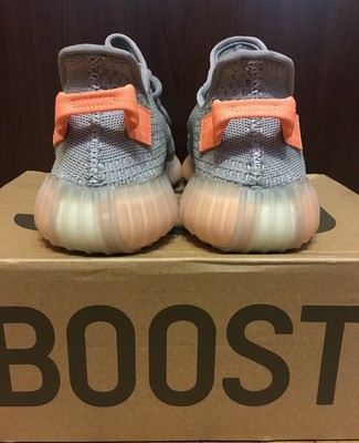 Adidas Yeezy Boost 350 V2 Trfrm True From US10 5 eBay